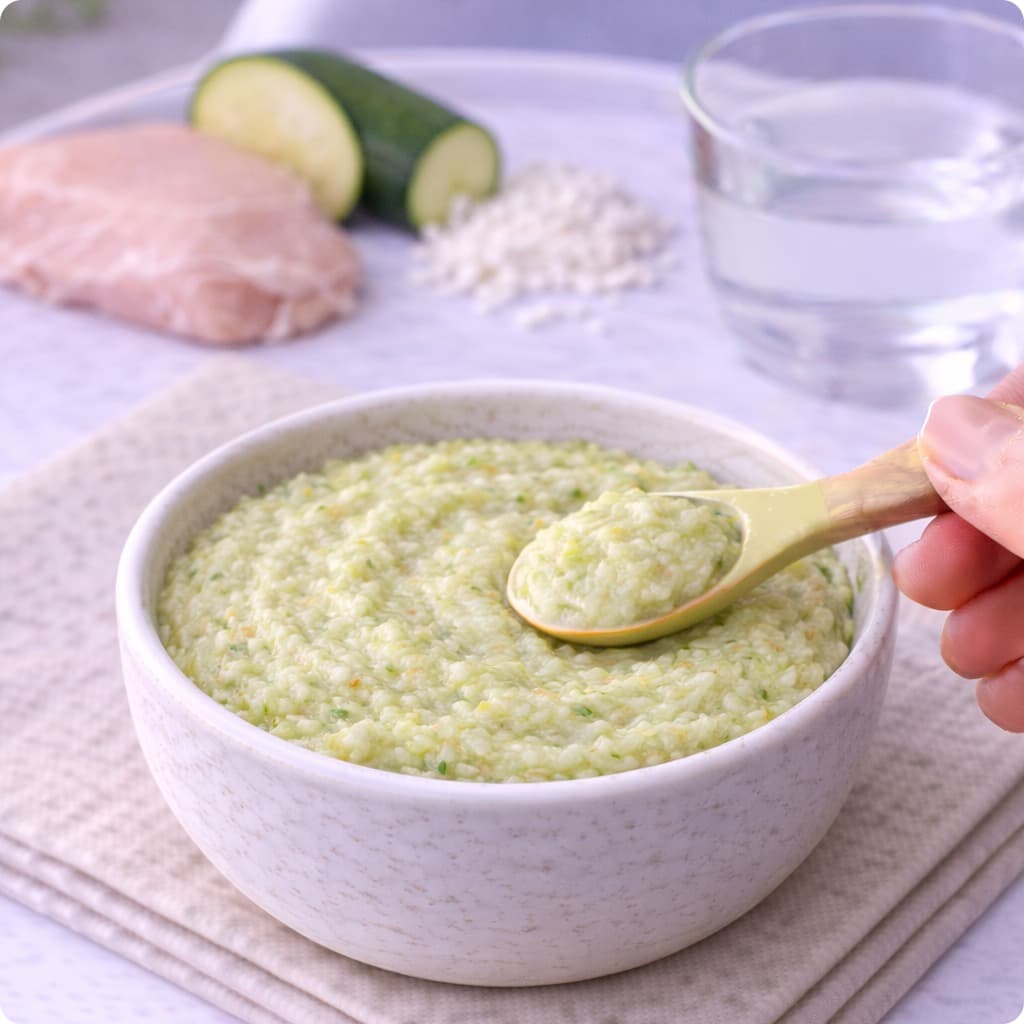 Chicken, Zucchini & Rice Mash