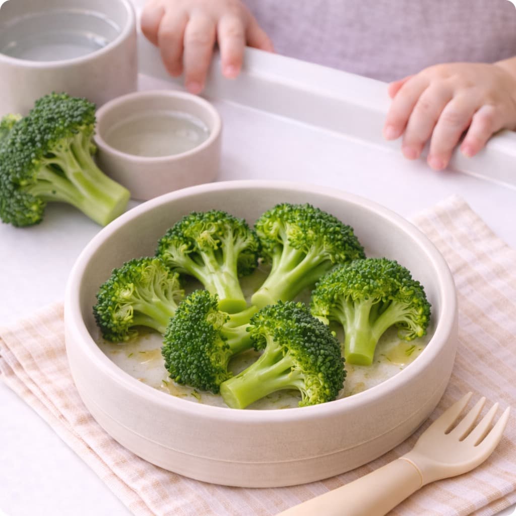 Steamed Broccoli BLW Florets